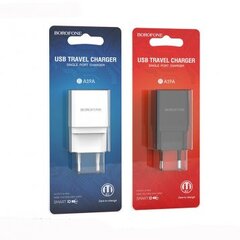 Сетевой Адаптер BOROFONE BA19A
